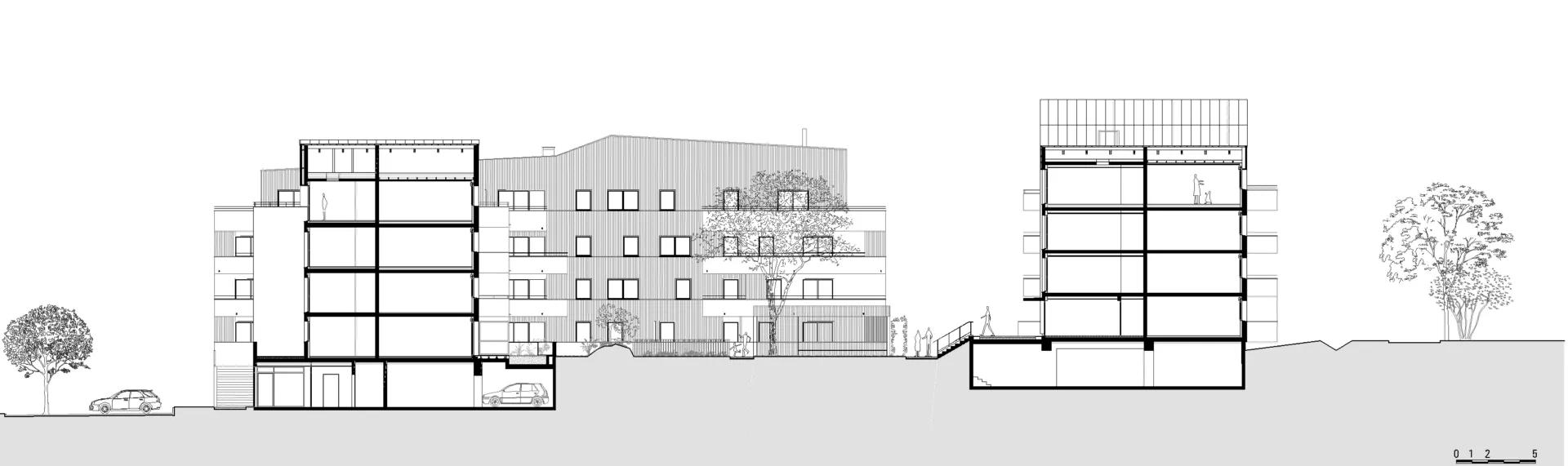 Golhen Associés - Botanica - Echappée Nature - La Chapelle sur Erdre - Coupe