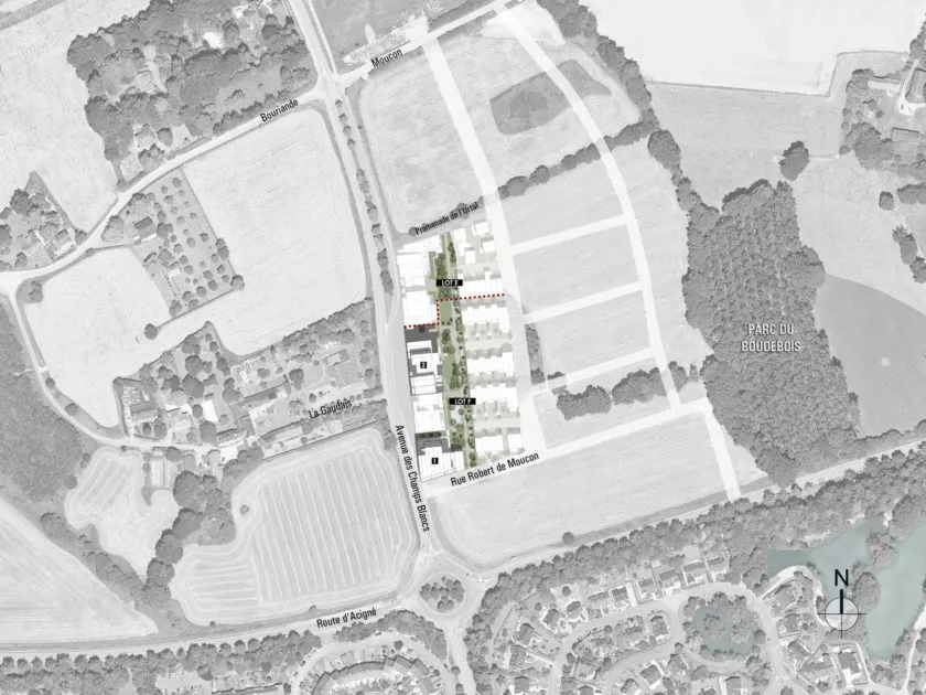 Golhen Associés - Via Silva - Phase 2 - Collectifs 1 et 2 - Plan Masse