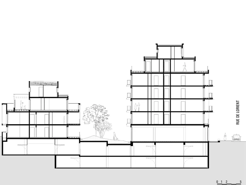 Golhen Associés - Fidgi - Coupe