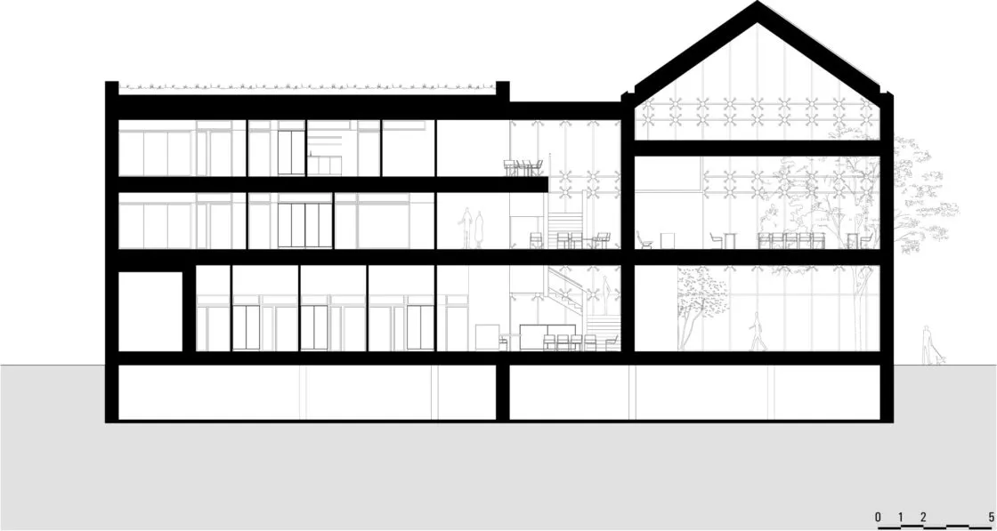 Golhen Associés - Mairie - Saint-Gilles - Coupe
