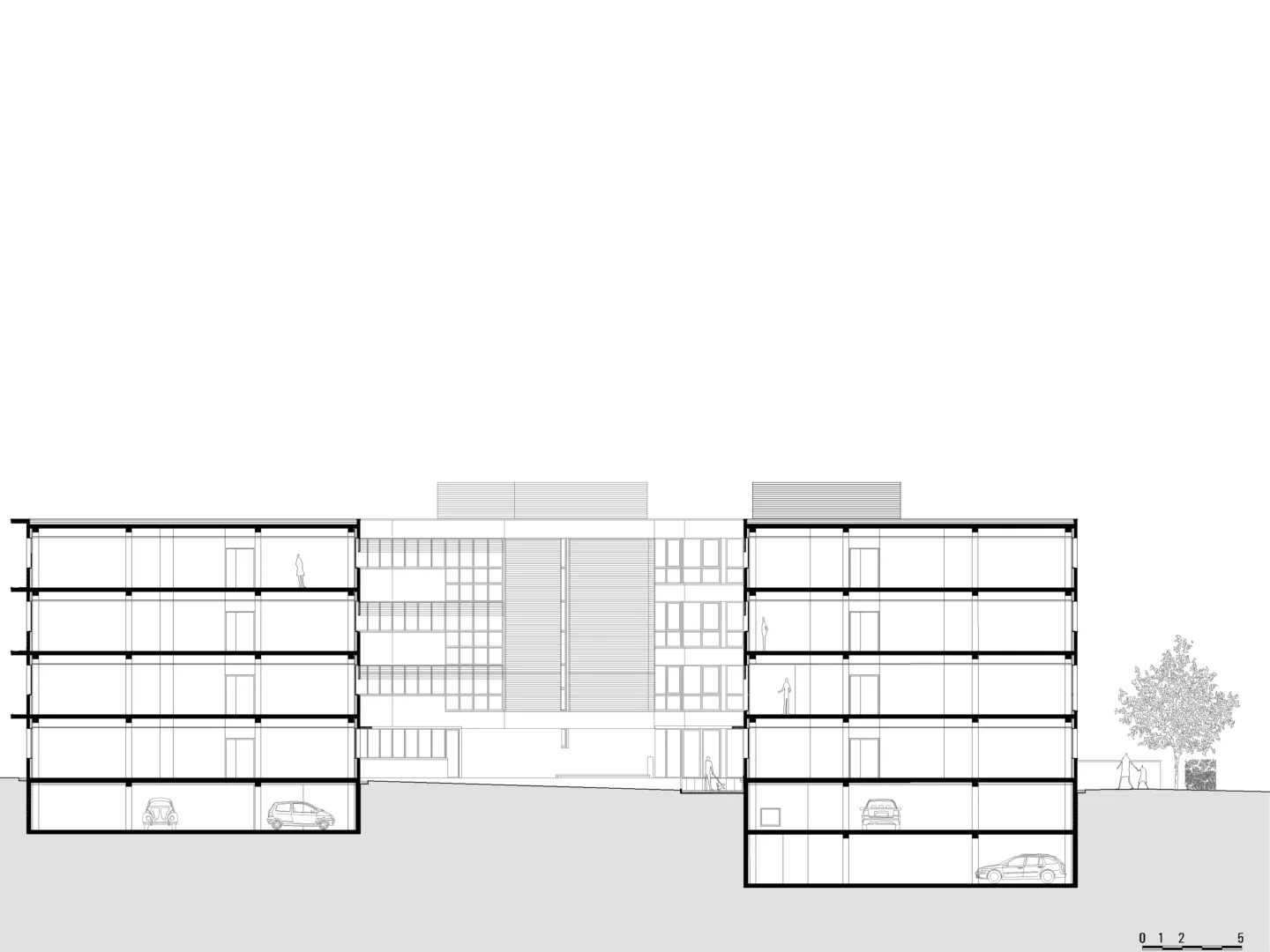 Golhen Associés - Morgat - Coupe