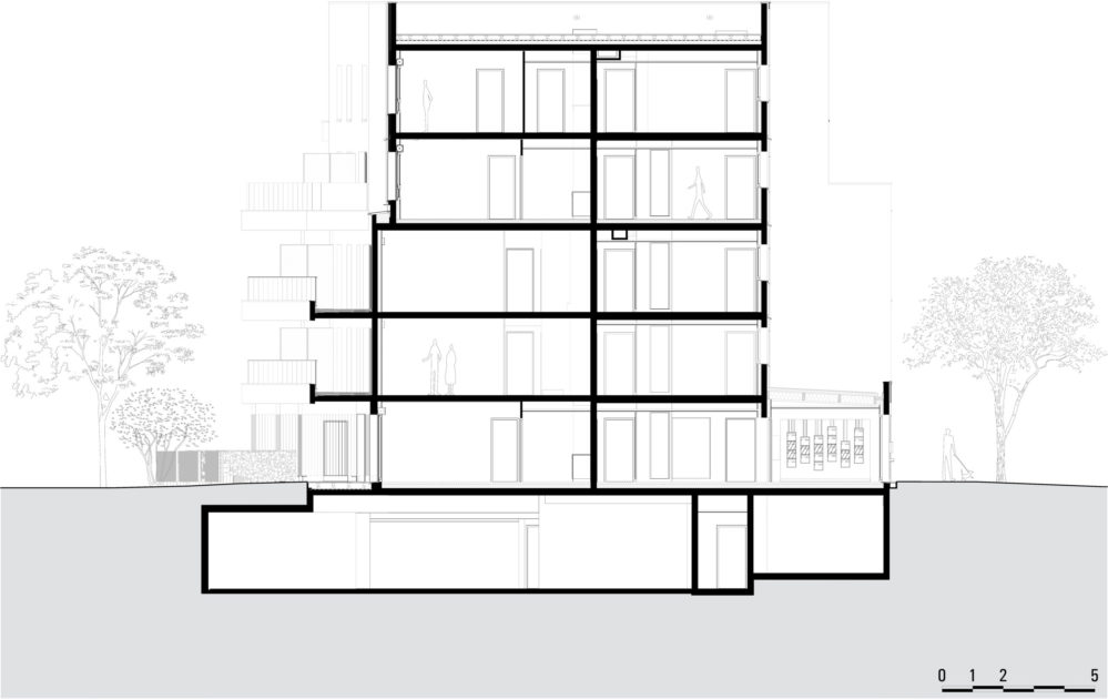 Golhen Associés - Via Silva - Phase 1 - Lot M - Coupe